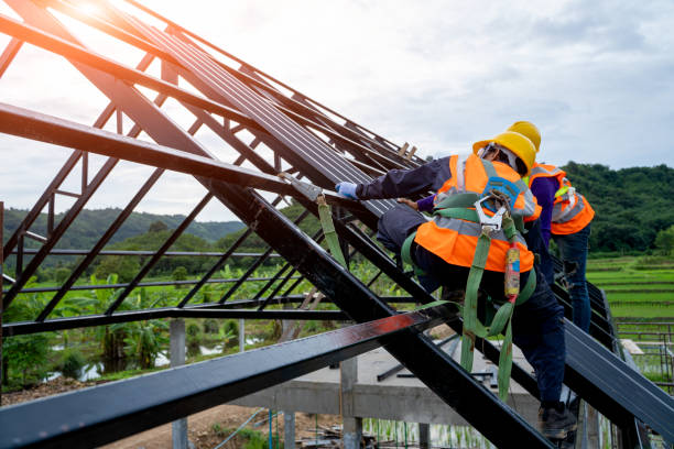 Best Roof Gutter Cleaning  in Farmerville, LA
